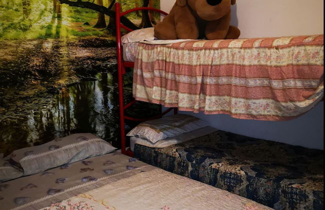 Country House in the Su Gologone Area 30 km From Cala Gonone 5 km From Oliena - Photo 45