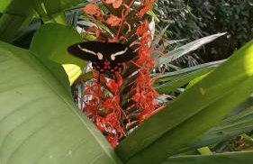 Ocean House Private Beach! - Foto 24