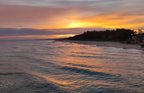 Domki Letniskowe U Żuni - Foto 22
