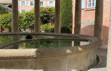 La tour de Grignan - Foto 49