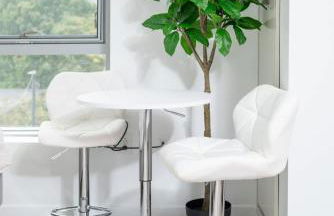 Lux Studio 2xQueen beds Gym near MIT Harvard - Photo 2