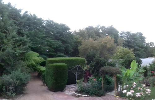 Gite des Orchidées - Foto 6