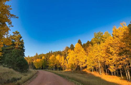 Pine Ridge - Memories are made here! - Foto 27