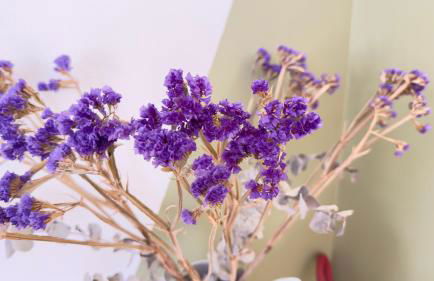 Harlem Cozy Elegance and Culture - Foto 16