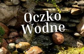 Liwa Garden Krzywa 11 - Foto 71