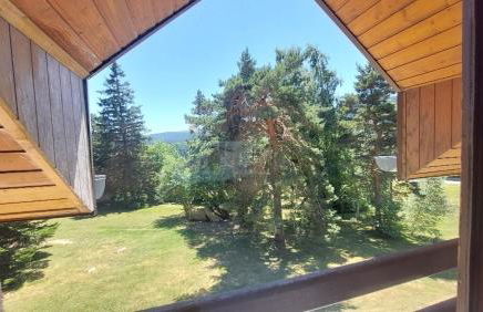 Les balcons du Haut-Forez - Foto 38