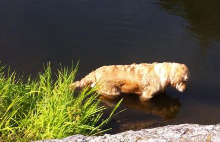 Mas Els Terrats - Foto 131