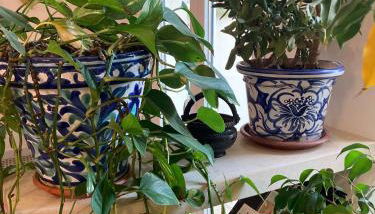 Charming apt with Baroque view - - Foto 3, Garden