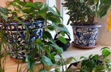 Charming apt with Baroque view - - Foto 3