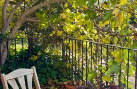 Casa Laiglesia - Foto 24