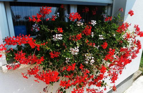 Holiday Home Bulog - Foto 31