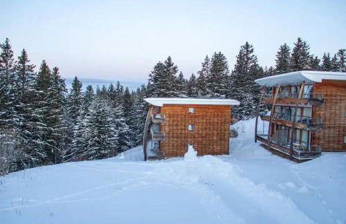 Appartement 3 étoiles au pied des pistes avec balcon été - Foto 22