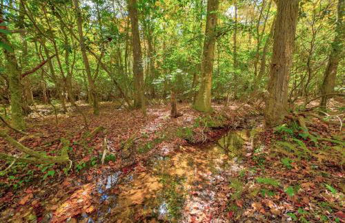 Ferny Creek Cottage - Foto 22