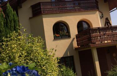 Willa Wierchy - Foto 57