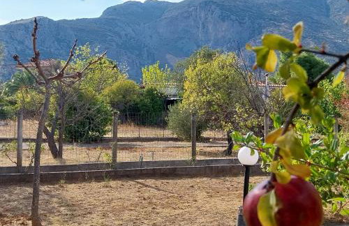 Cozy Country house - Foto 34