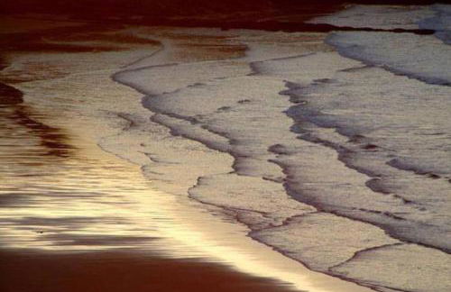 Panoramic Sea & Picos Europa view - Foto 33