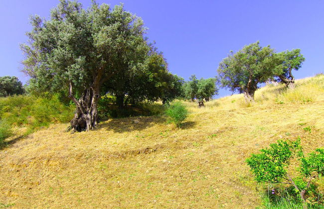 Agriturismo Vulcano - Foto 40