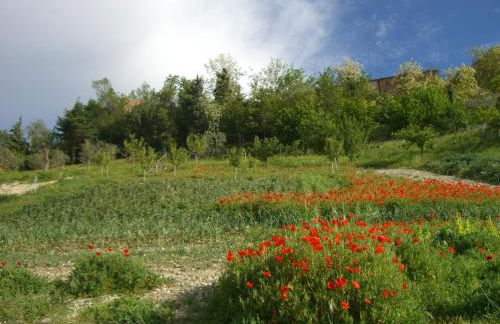 Agriturismo Pozzuolo - Foto 20