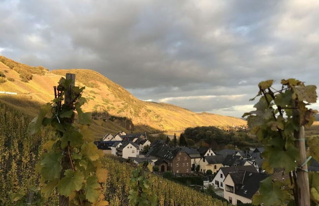 Holiday Home Vinea Comfortable Holiday Residence - Photo 11