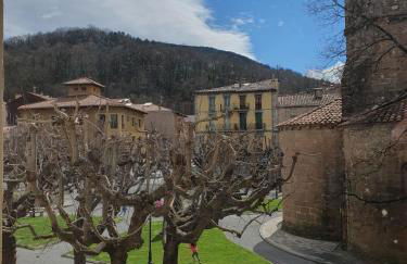Casa Clotilde - Apartamento elegante y cómodo en Sant Joan de les Abadesses - Foto 14