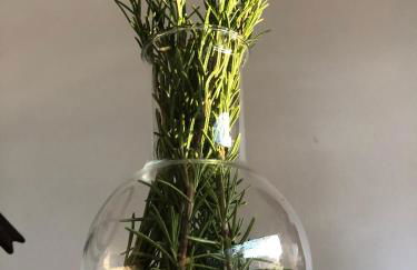 Aux Trompettes Violettes - Foto 46