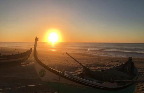 Bico das flores - Foto 78