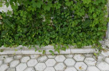 Apartments Kaskada - Foto 56