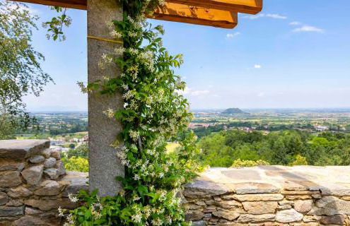 Agriturismo Famiglia al Castello Di Bagnolo - Foto 16