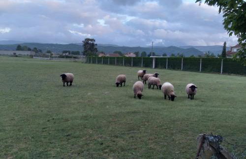 Ático Rosita en Camino de Santiago - Foto 20