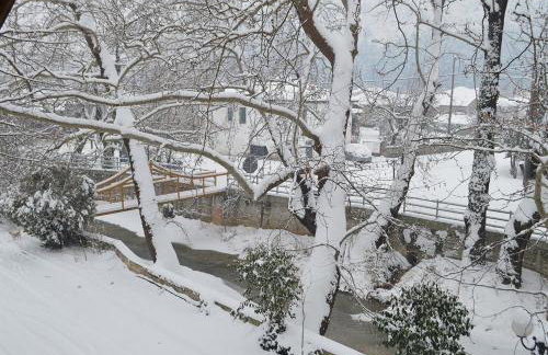 "The plane trees" - Foto 69