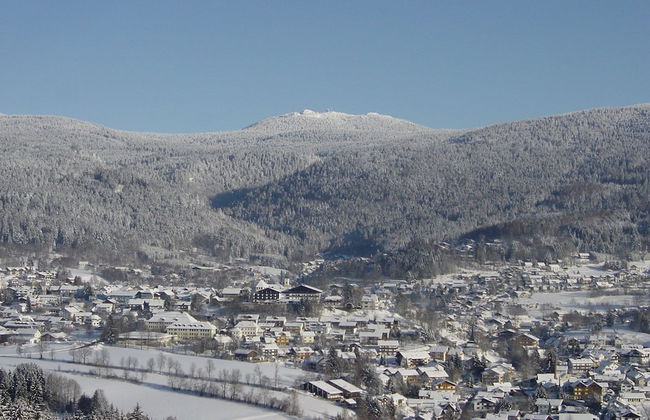 Ferienwohnungen Wölfl - Foto 16