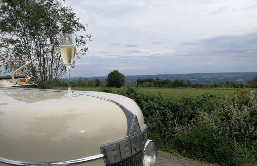 Eifellodge - Foto 24