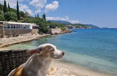 Olive Garden Beachside Hideaway - Photo 29