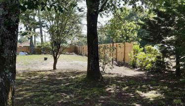 Gîte les 2 pins - Audenge - Foto 5, Garden