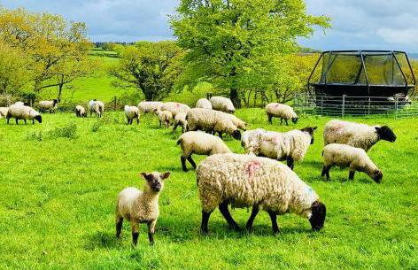 Barn End Cottage - Foto 30