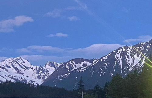 Dolphin House - Foto 10