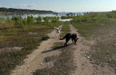 Forest Views-Dog friendly-Bonus Camper! - Foto 5
