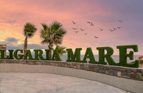 Ligaria Mare - Foto 6