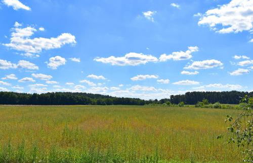 Ferienwohnung am Oase am Vilzsee - Foto 48