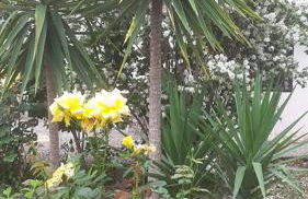 Sunny Studio - Foto 8