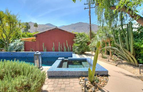 Cactus Fountain - Foto 17