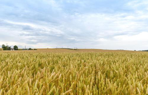 The Cottage At Cauldcoats - Foto 15