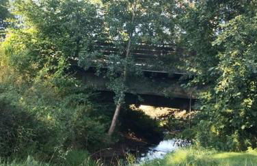 Ferienwohnung Zur Schönen Aussicht im Odenwald - Foto 9