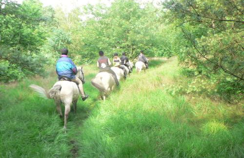 Ferienwohnung 3 - Foto 12