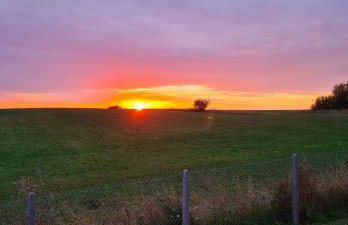 Domek w polu - Foto 37