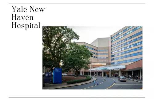 Cozy Gem in the Heart of East Rock with FREE Parking near Yale and DT - Foto 18