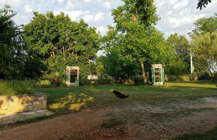 Apartments Davor - Photo 26