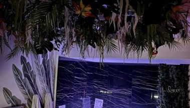 Spa-Sauna-Ciel de pluie tropicale-Champagne Nuit Romantique - Escapade Mâconnaise - Foto 4