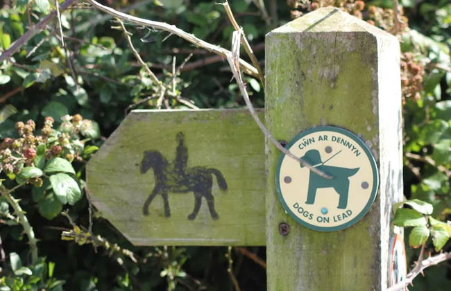 Courtyard Cottage With hot tub and Walled Garden - Foto 25