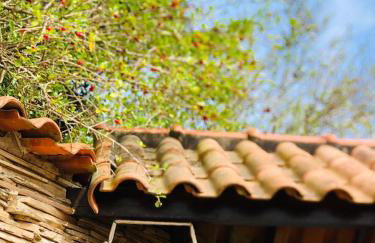 Casa Sonho Meu, Jardim, churrasqueira e Sossego a 5min do Mar - Foto 42